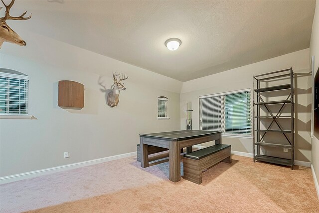 carpeted dining space with a textured ceiling