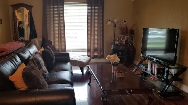 living room featuring wood-type flooring