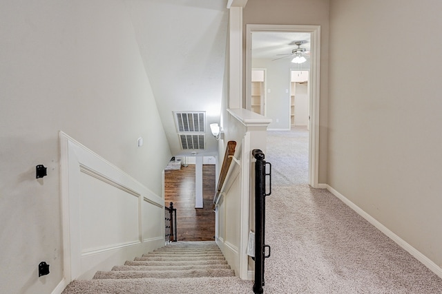 staircase featuring ceiling fan and carpet