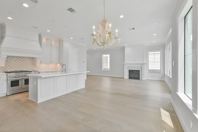 kitchen with a fireplace, double oven range, a wealth of natural light, light hardwood / wood-style flooring, and decorative backsplash