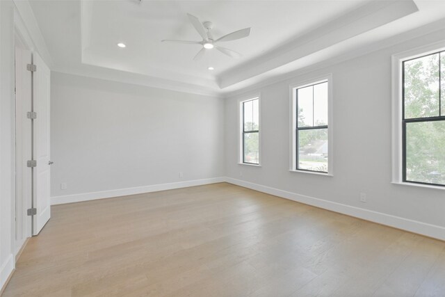 unfurnished room featuring a raised ceiling, light hardwood / wood-style flooring, and a wealth of natural light