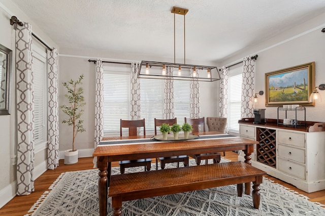 dining room featuring a wealth of natural light, light hardwood / wood-style flooring, and a textured ceiling