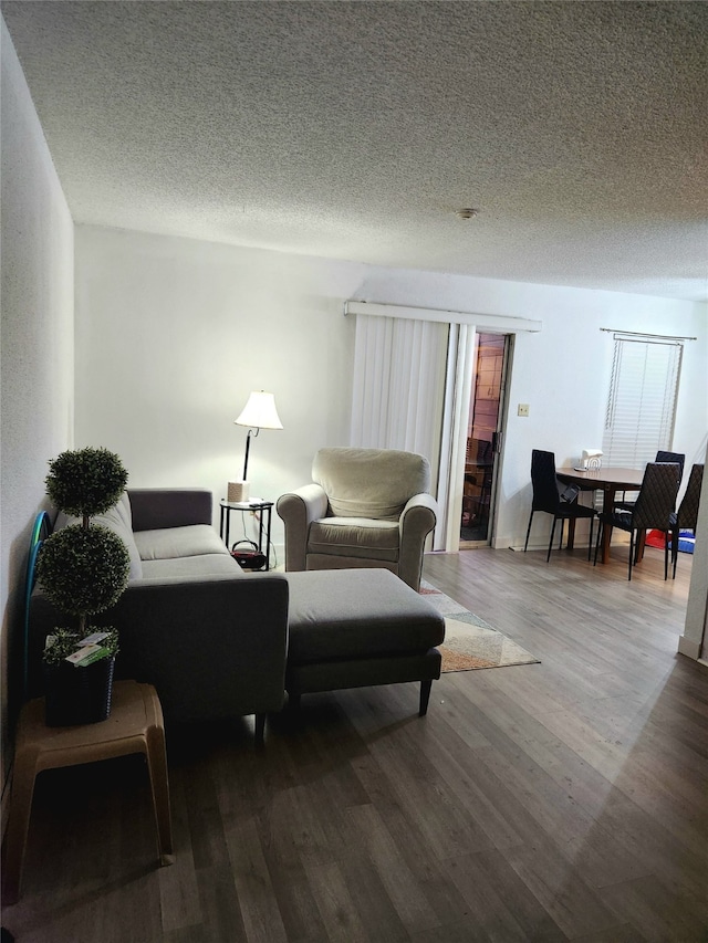 living room featuring a textured ceiling and hardwood / wood-style flooring