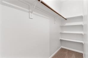 walk in closet featuring carpet floors