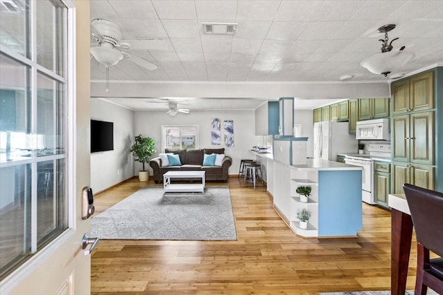 living room with ceiling fan and light hardwood / wood-style floors