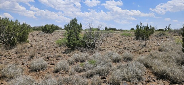 Listing photo 2 for 0 Dark Sky Ln, Alpine TX 79832