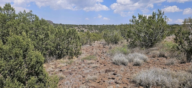 Listing photo 3 for 0 Dark Sky Ln, Alpine TX 79832