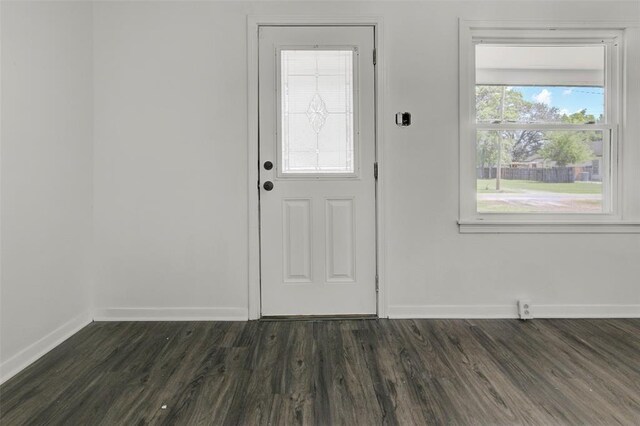 doorway with dark hardwood / wood-style flooring