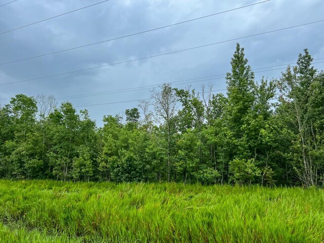 1 Fm 160, Raywood, TX 77575 - photo 10