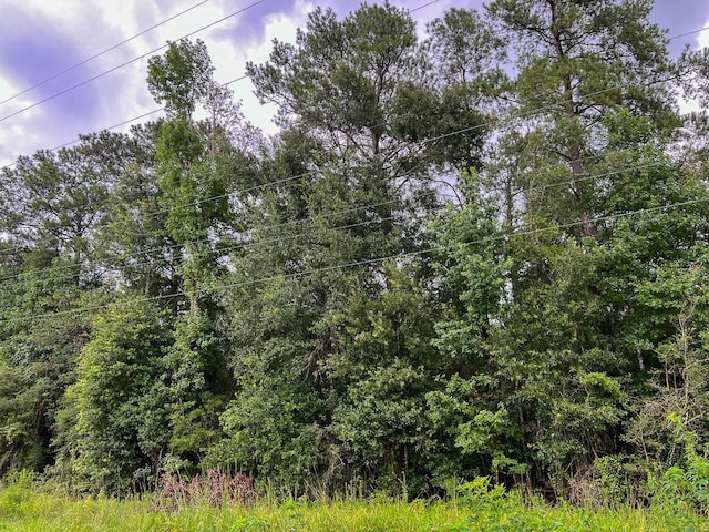 1 Fm 160, Raywood, TX 77575 - photo 4