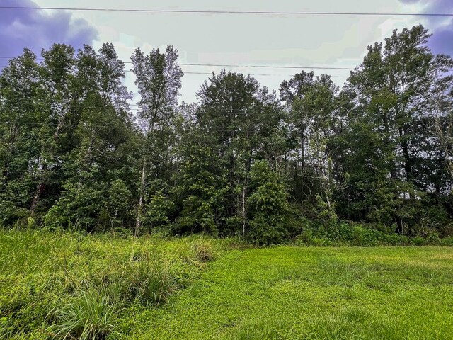 1 Fm 160, Raywood, TX 77575 - photo 9