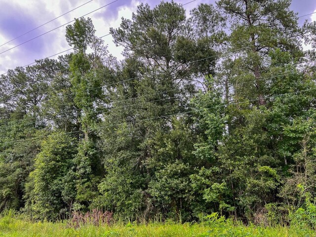 6 Fm 770, Raywood, TX 77575
