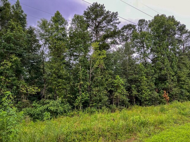 6 Fm 770, Raywood, TX 77575