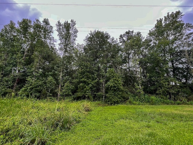 6 Fm 770, Raywood, TX 77575