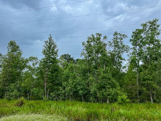 6 Fm 770, Raywood, TX 77575