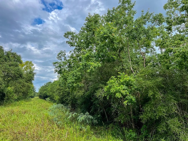 6 Fm 770, Raywood, TX 77575