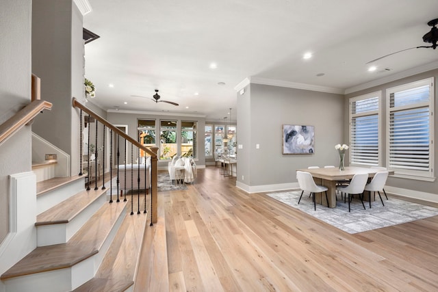 dining area featuring ornamental molding, ceiling fan, and light wood-type flooring