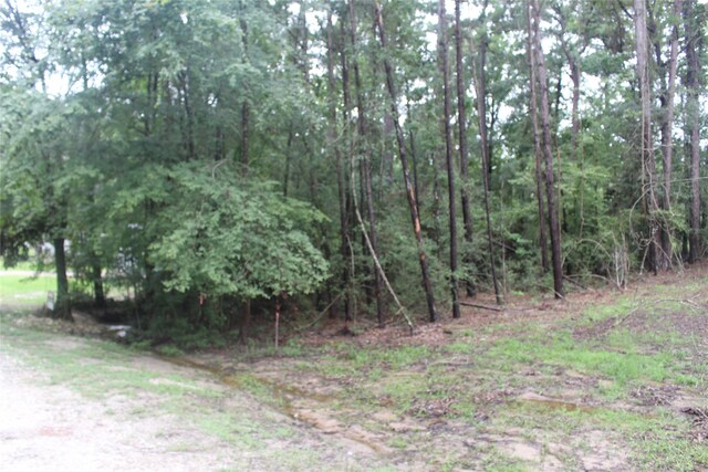 Listing photo 2 for LOT234 Medina Dr, Trinity TX 75862