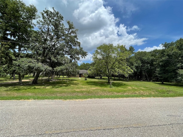 1055 County Road 452, Sweeny, TX 77480 - view of road
