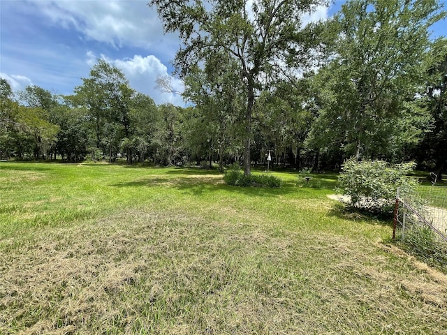 1055 County Road 452, Sweeny, TX 77480 - view of yard