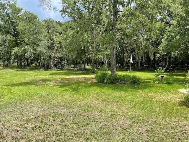 1055 County Road 452, Sweeny, TX 77480 - view of yard