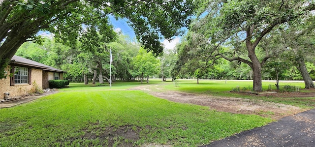 1055 County Road 452, Sweeny, TX 77480 - view of yard