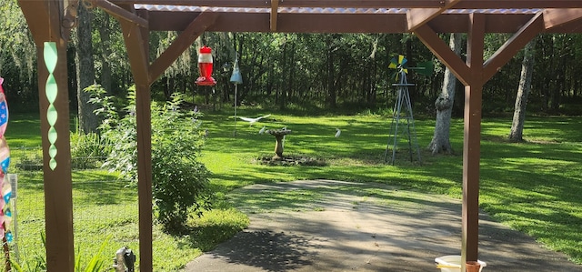1055 County Road 452, Sweeny, TX 77480 - surrounding community featuring a yard and a patio area