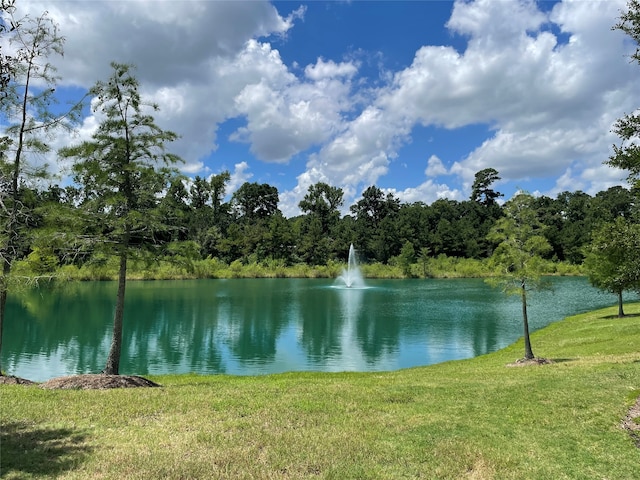 view of water feature