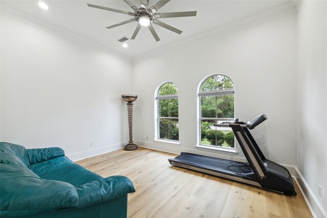 exercise room with crown molding, ceiling fan, and light hardwood / wood-style floors