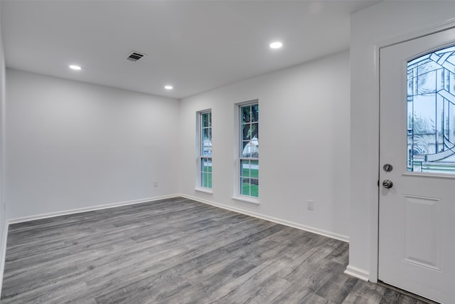 foyer entrance featuring wood-type flooring