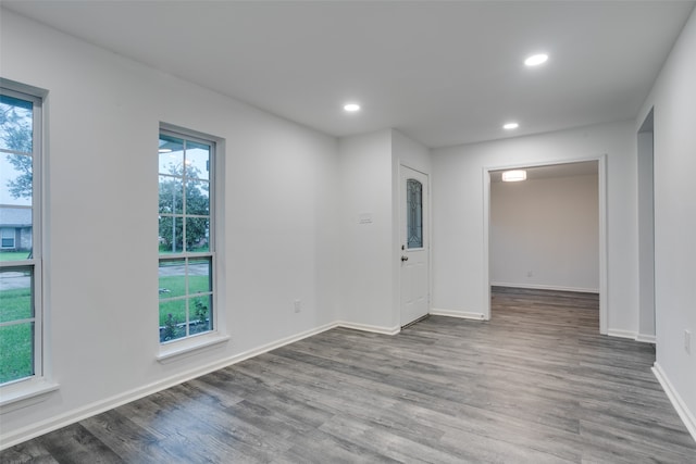 spare room featuring hardwood / wood-style flooring and plenty of natural light