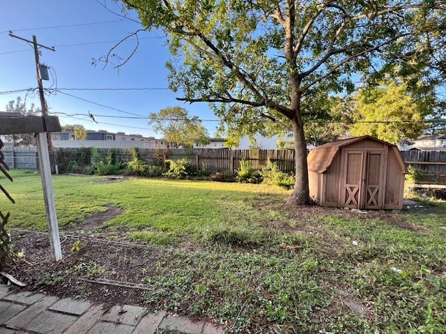 view of yard featuring a shed