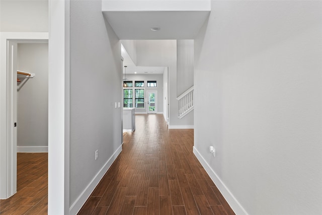 hall featuring dark wood-type flooring