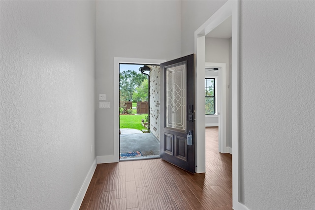 foyer with a healthy amount of sunlight and dark hardwood / wood-style flooring