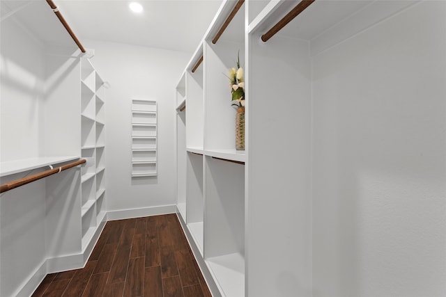 spacious closet with dark wood-type flooring