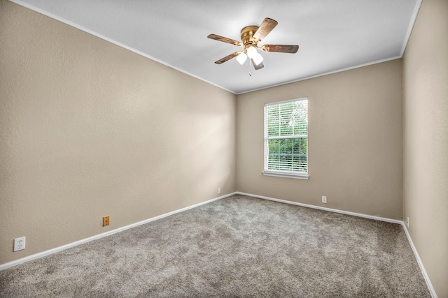 carpeted spare room with ceiling fan and crown molding