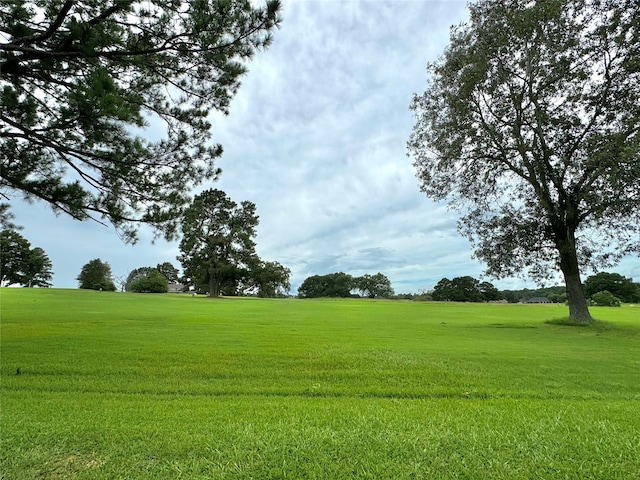 exterior space with a lawn