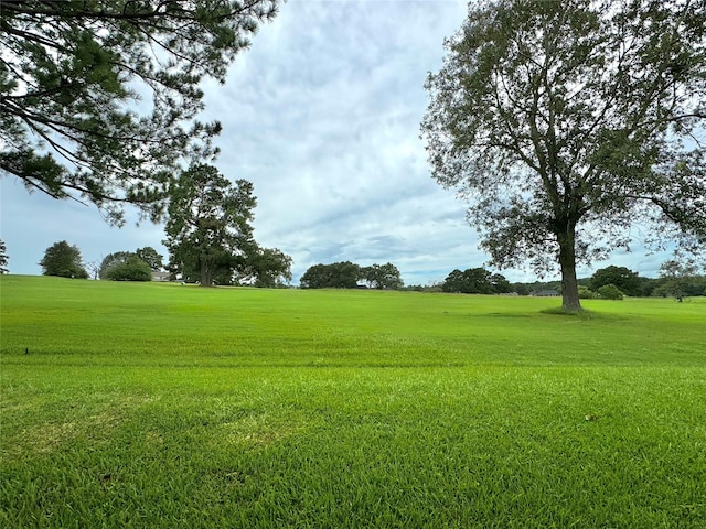 exterior space with a lawn