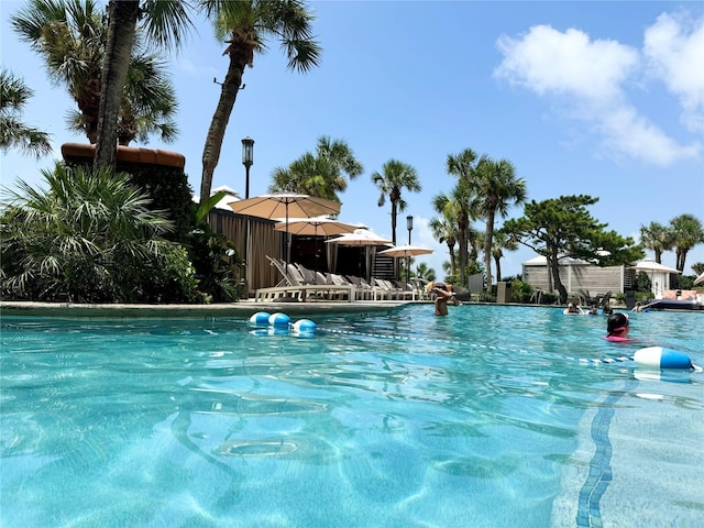 5220 Seawall Blvd Unit 438/439, Galveston, TX 77551 - photo 2