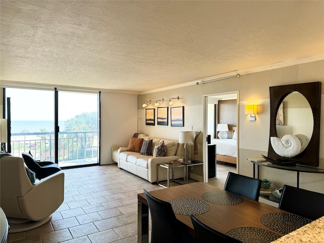5220 Seawall Blvd Unit 438/439, Galveston, TX 77551 - photo 35