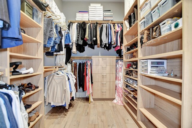 411 N Copa Palm Loop, Montgomery, TX 77316 - spacious closet with wood finished floors