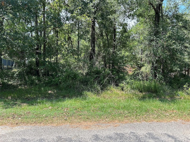 TBD Belize Dr, Point Blank TX, 77364 land for sale