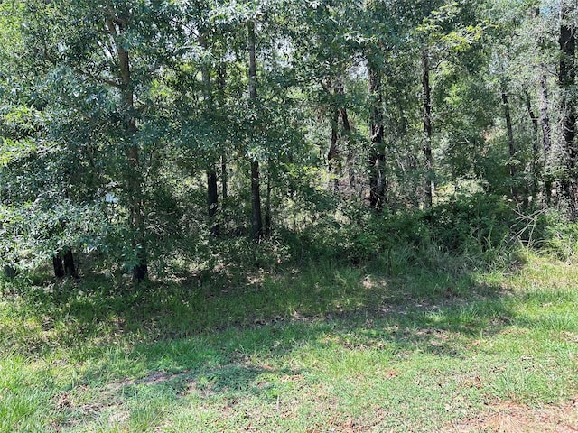 Listing photo 2 for TBD Belize Dr, Point Blank TX 77364