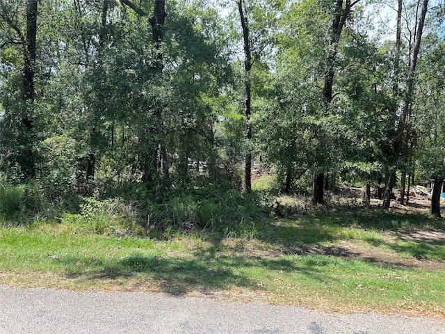 Listing photo 3 for TBD Belize Dr, Point Blank TX 77364