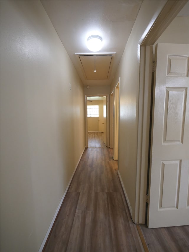 corridor with hardwood / wood-style floors