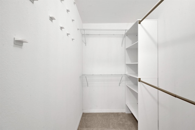 spacious closet featuring carpet flooring