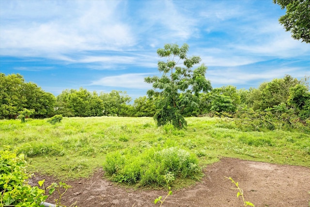 view of local wilderness