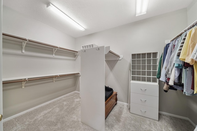 spacious closet with light carpet