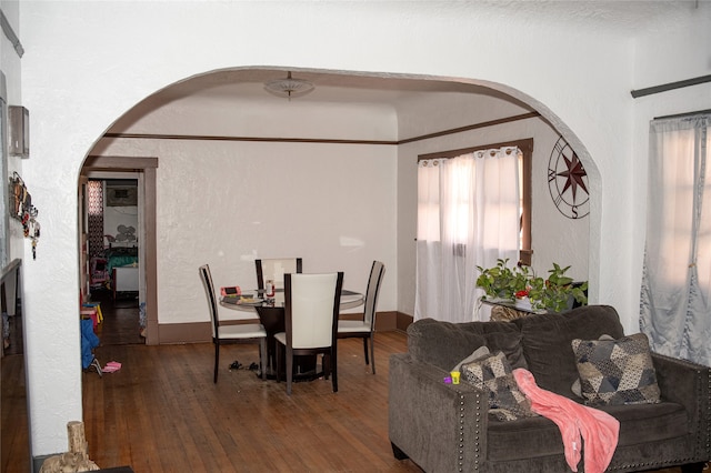 dining room featuring wood-type flooring