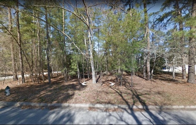 1920 Foxbriar, Huntsville TX, 77340 land for sale